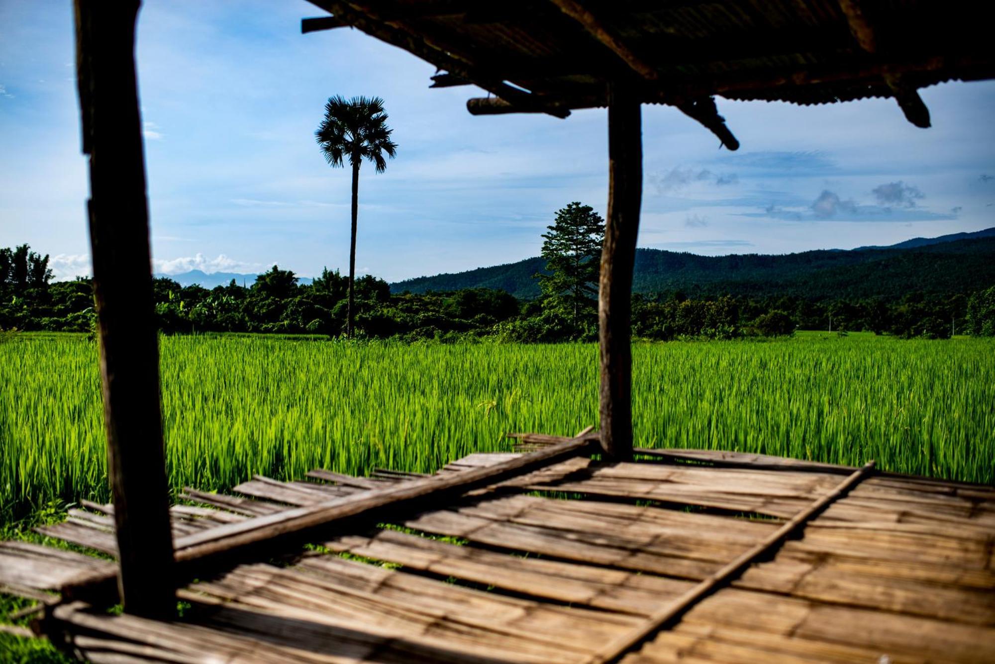 Suan Sook Homestay Chom Thong Bagian luar foto