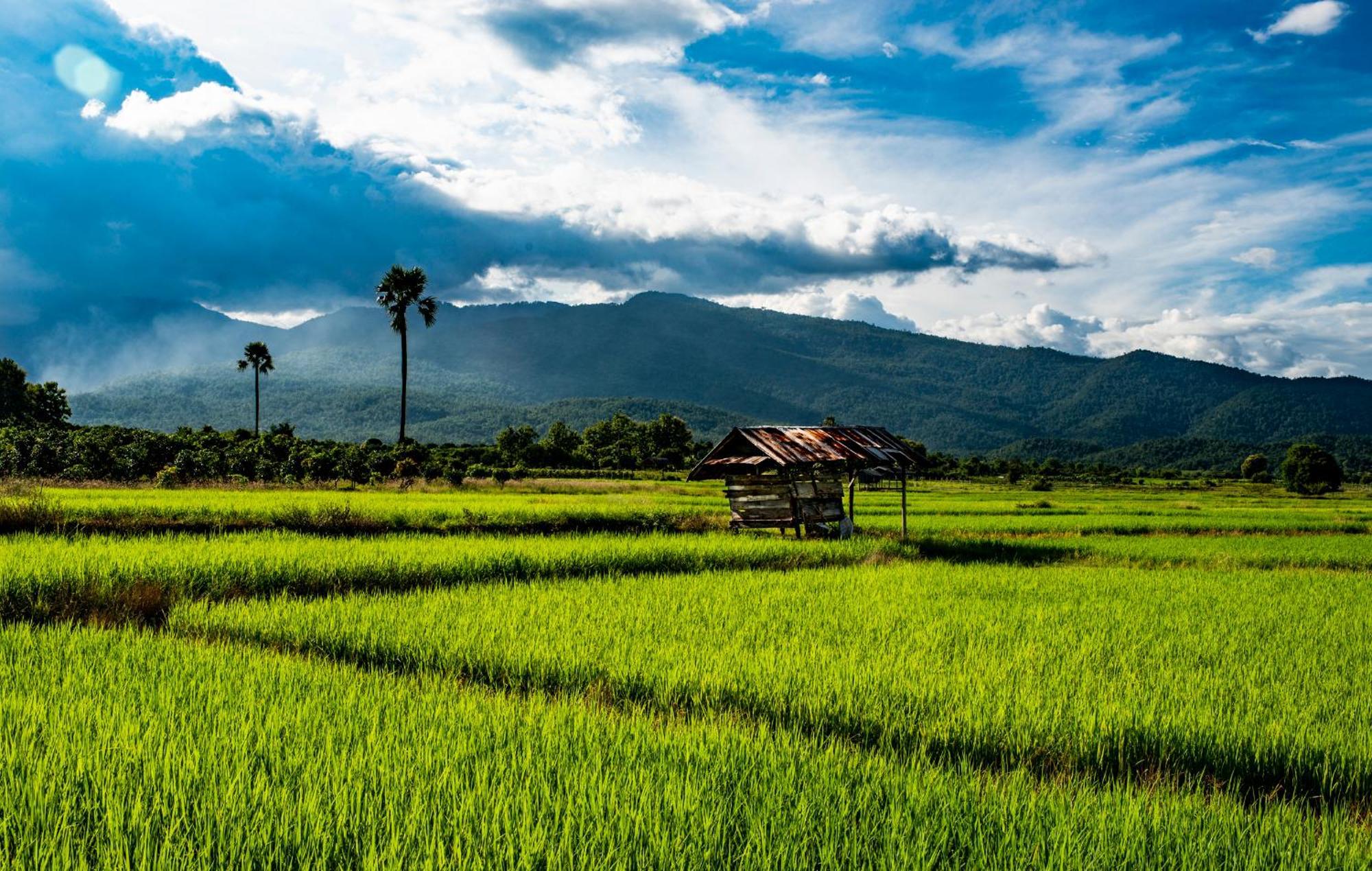 Suan Sook Homestay Chom Thong Bagian luar foto
